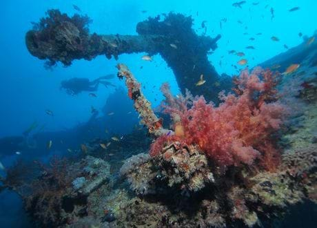 PADI MASTER SCUBA DIVER